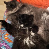 Esmeralda & Schneewittchen